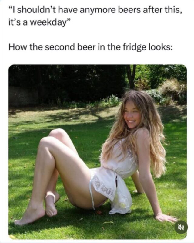 Bildschirmarbeiter - Picdump KW 49/2025