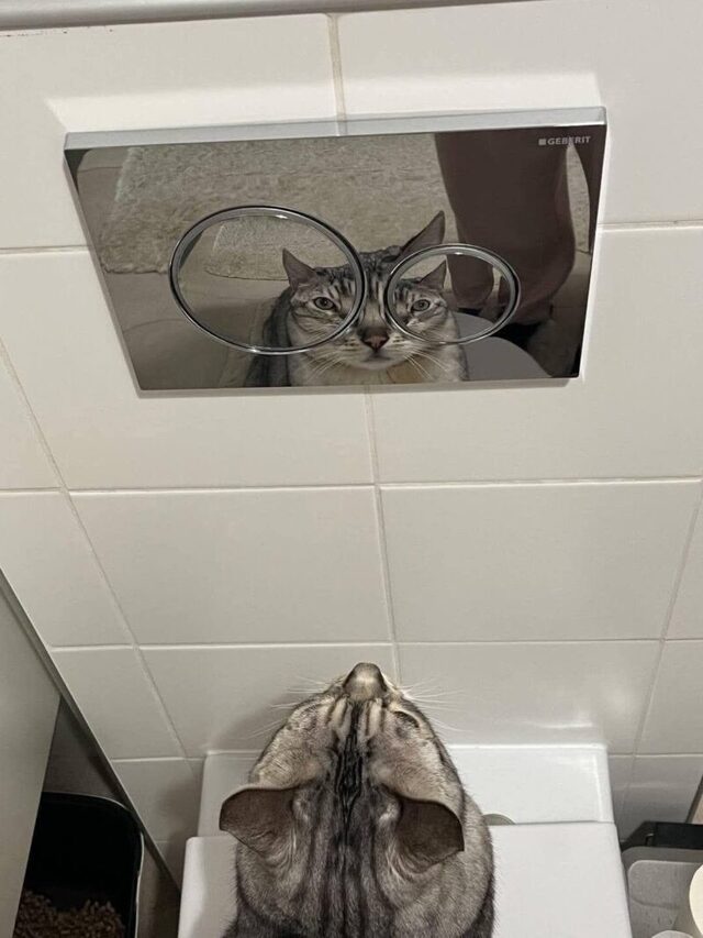 Bildschirmarbeiter - Picdump KW 49/2025