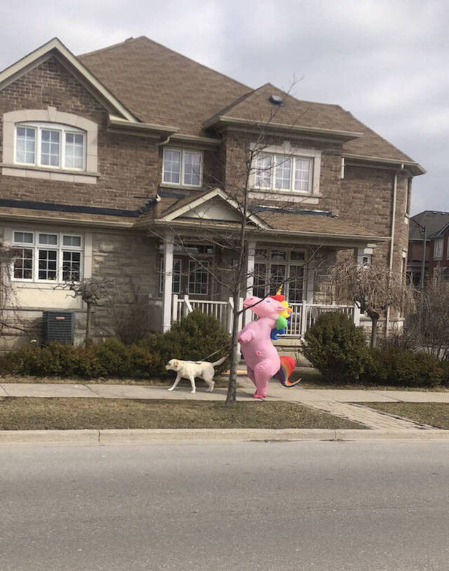 Bildschirmarbeiter - Picdump KW 49/2025