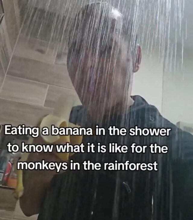 Bildschirmarbeiter - Picdump KW 49/2025