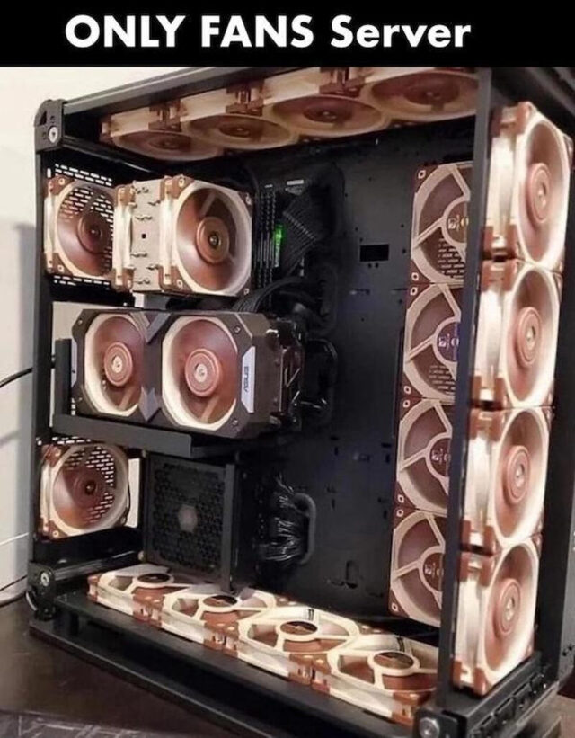 Bildschirmarbeiter - Picdump KW 49/2025