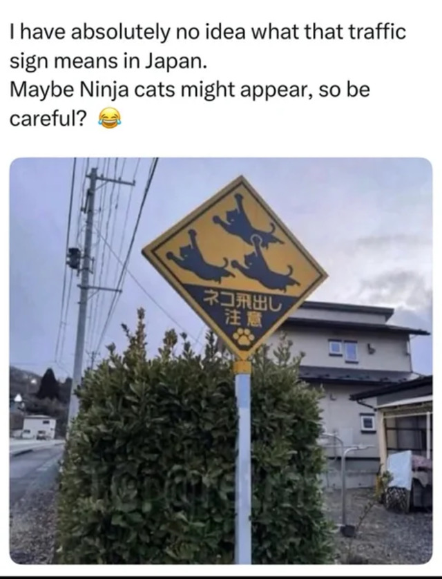 Bildschirmarbeiter - Picdump KW 49/2025