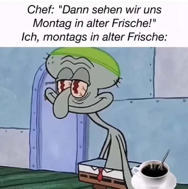 Bildschirmarbeiter - Picdump KW 49/2025