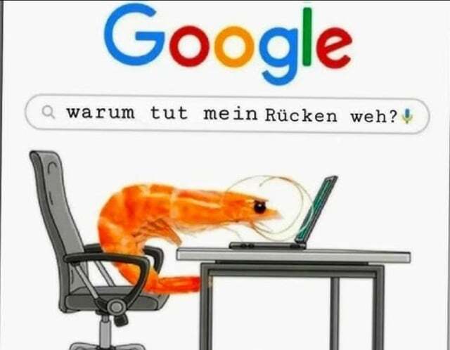 Bildschirmarbeiter - Picdump KW 49/2025