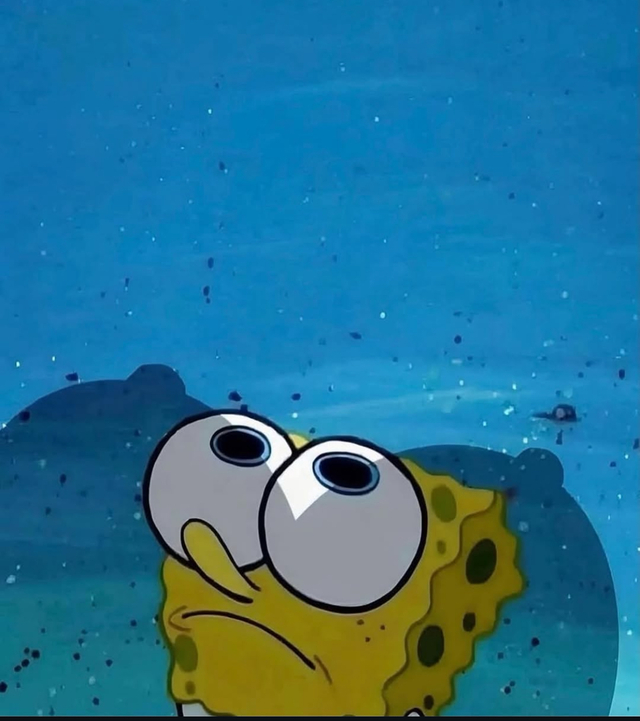 Bildschirmarbeiter - Picdump KW 49/2025