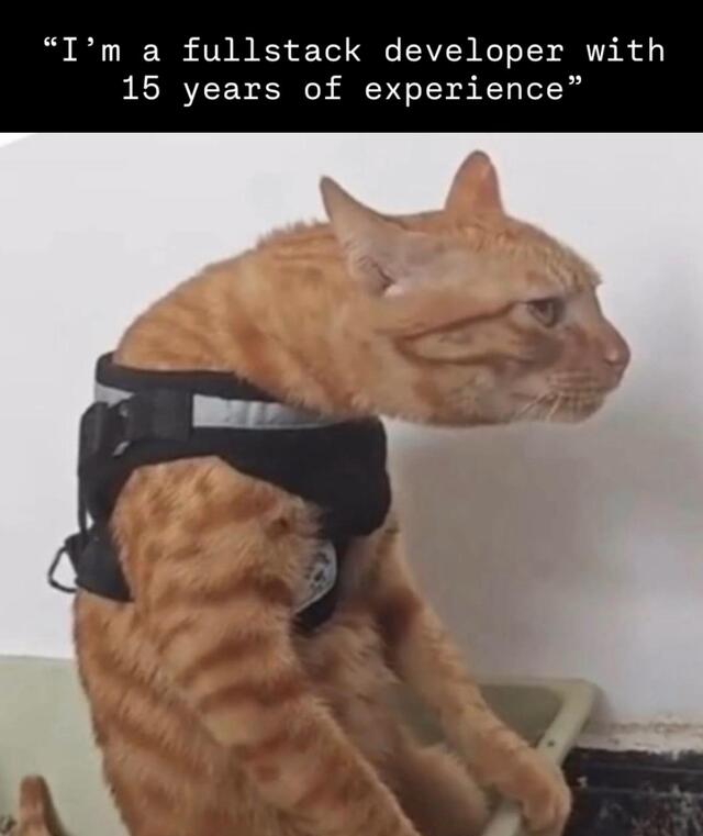 Bildschirmarbeiter - Picdump KW 49/2025