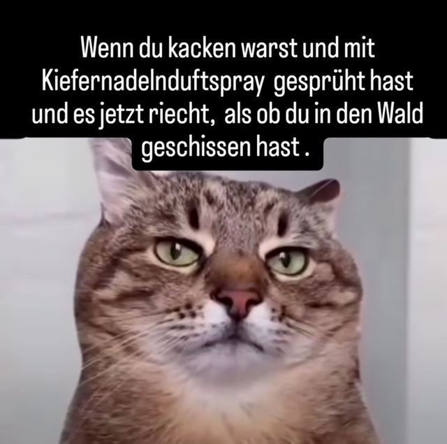 Bildschirmarbeiter - Picdump KW 49/2025