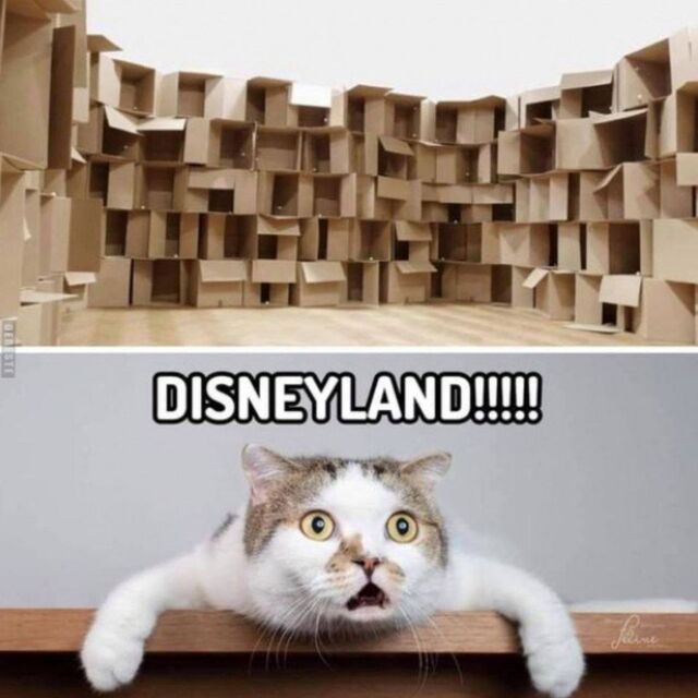 Bildschirmarbeiter - Picdump KW50 2020