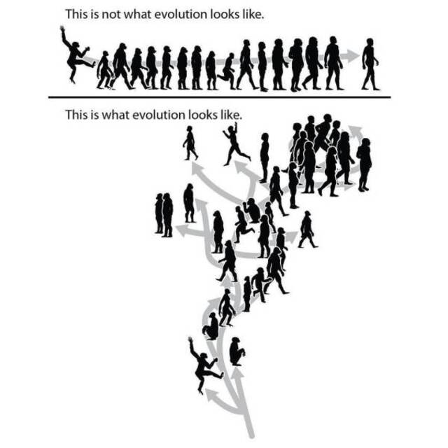 Bildschirmarbeiter - Picdump KW50 2020