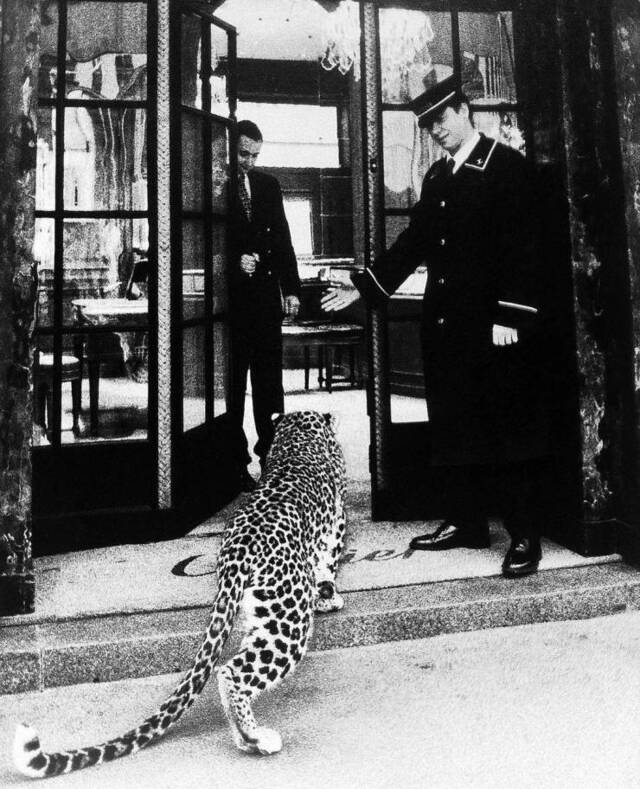 Bildschirmarbeiter - Picdump KW50 2020