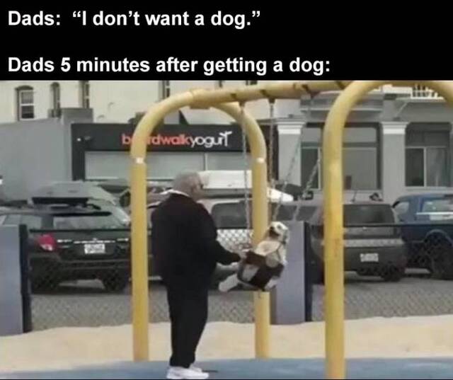 Bildschirmarbeiter - Picdump KW50 2020