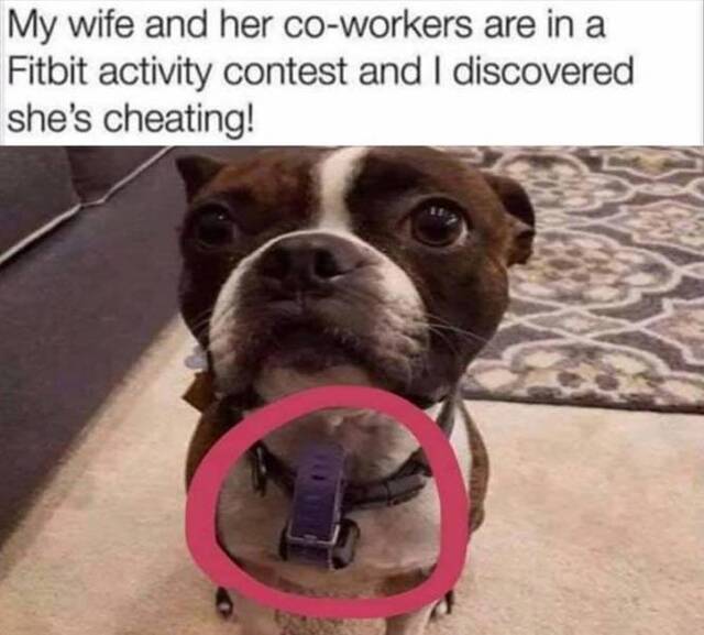 Bildschirmarbeiter - Picdump KW50 2020