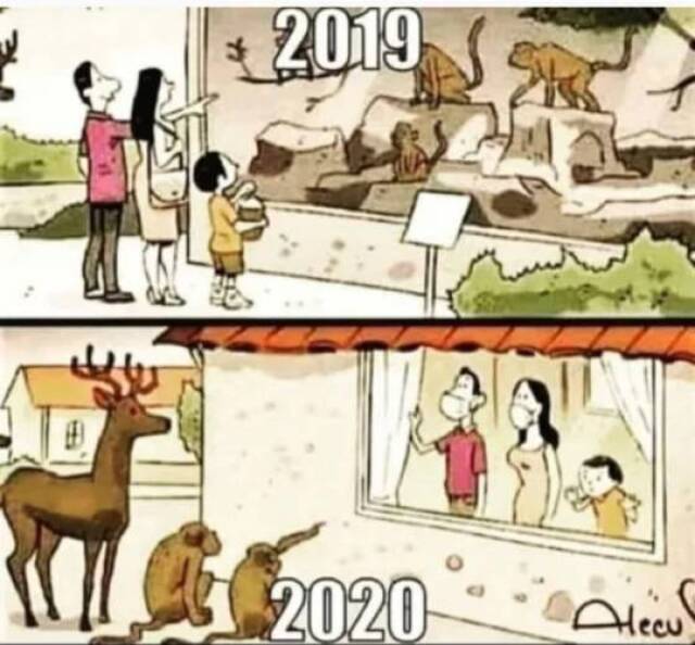 Bildschirmarbeiter - Picdump KW50 2020