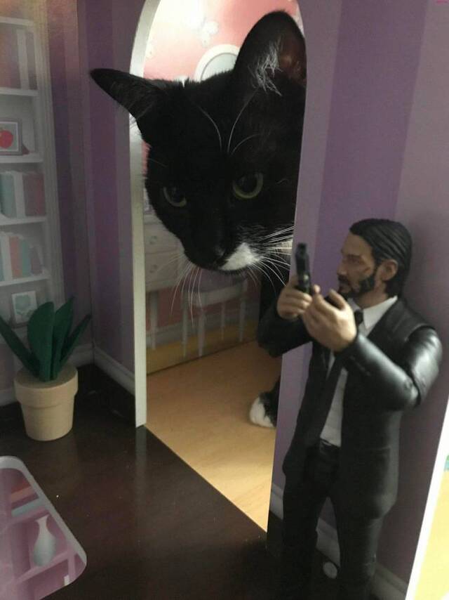 Bildschirmarbeiter - Picdump KW50 2020