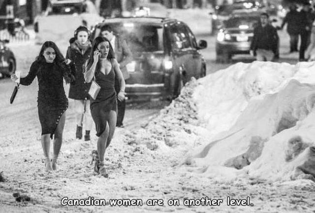 Bildschirmarbeiter - Picdump KW50 2020