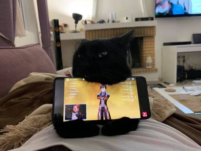 Bildschirmarbeiter - Picdump KW50 2020