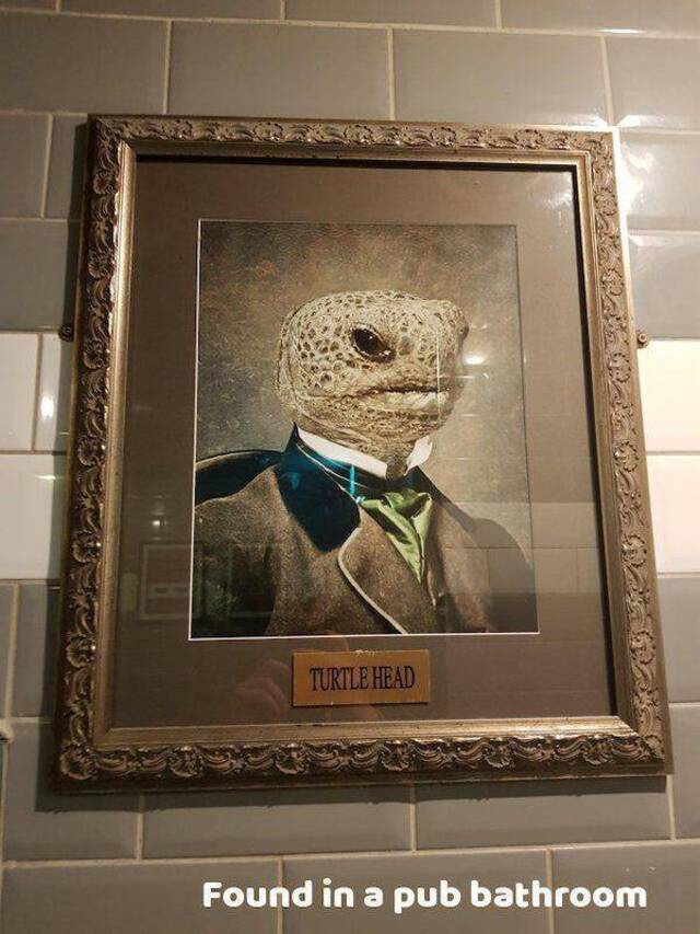 Bildschirmarbeiter - Picdump KW50 2020