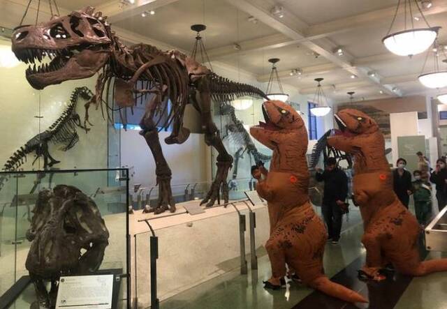 Bildschirmarbeiter - Picdump KW50 2020