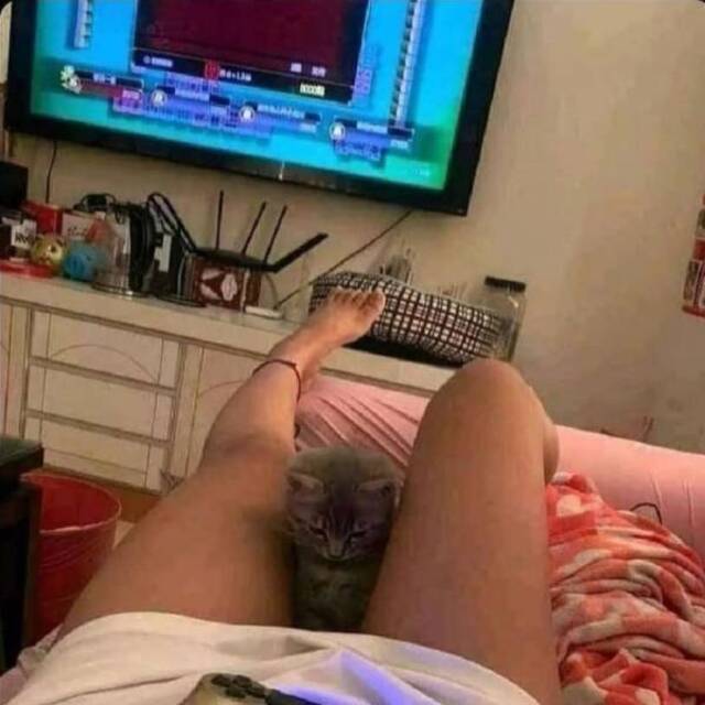 Nachschlag - Bildschirmarbeiter - Picdump KW50 2021