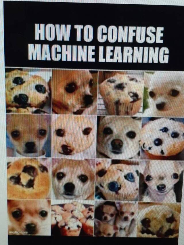 Nachschlag - Bildschirmarbeiter - Picdump KW50 2021