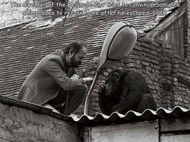 Nachschlag - Bildschirmarbeiter - Picdump KW50 2021