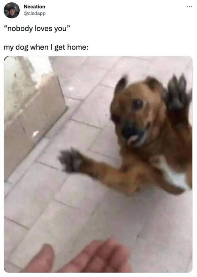 Nachschlag - Bildschirmarbeiter - Picdump KW50 2021