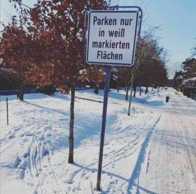 Nachschlag - Bildschirmarbeiter - Picdump KW50 2021