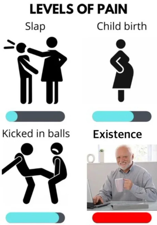 Bildschirmarbeiter - Picdump KW50 2021