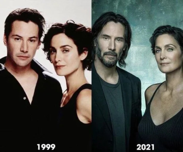 Bildschirmarbeiter - Picdump KW50 2021