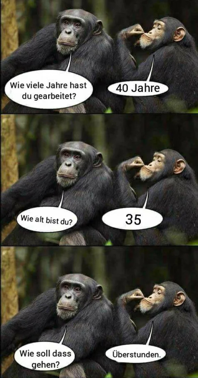 Bildschirmarbeiter - Picdump KW50 2021