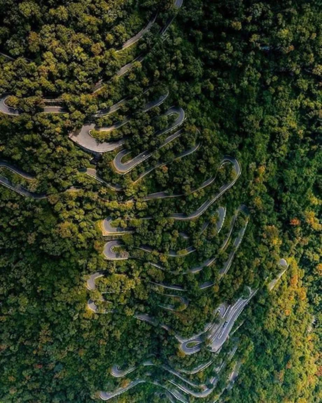 Bildschirmarbeiter - Picdump KW50 2021