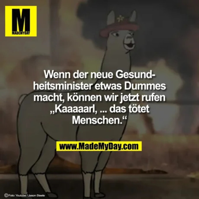 Bildschirmarbeiter - Picdump KW50 2021