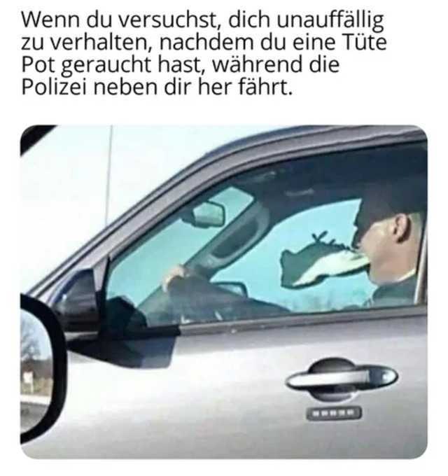 Bildschirmarbeiter - Picdump KW50 2021