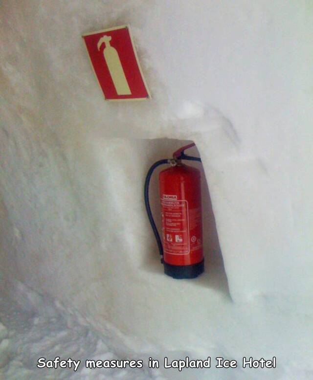 Bildschirmarbeiter - Picdump KW50 2021