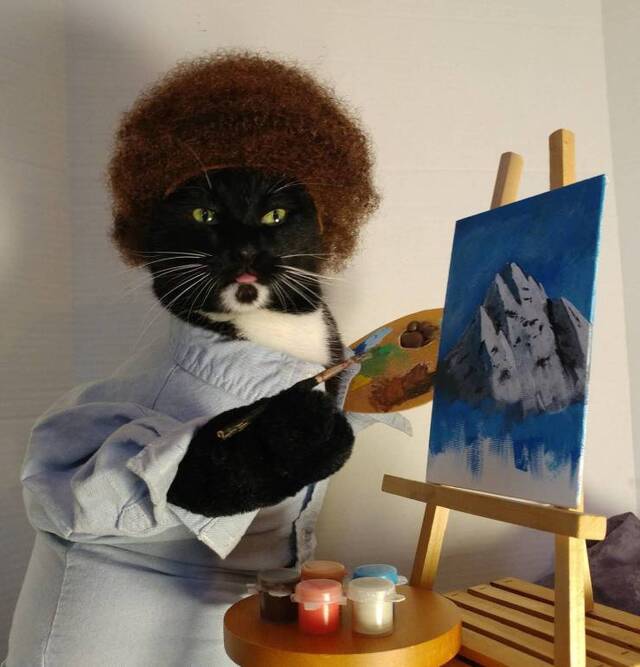 Bildschirmarbeiter - Picdump KW50 2021