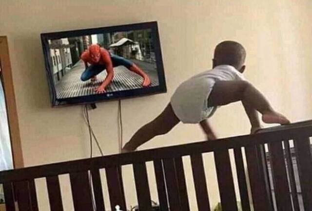 Bildschirmarbeiter - Picdump KW50 2021