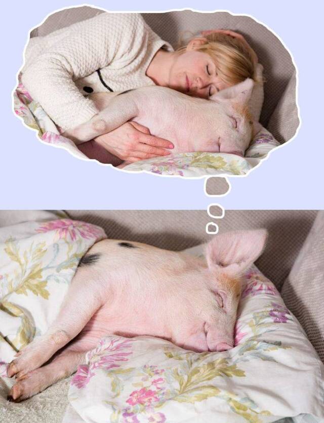 Bildschirmarbeiter - Picdump KW50 2021