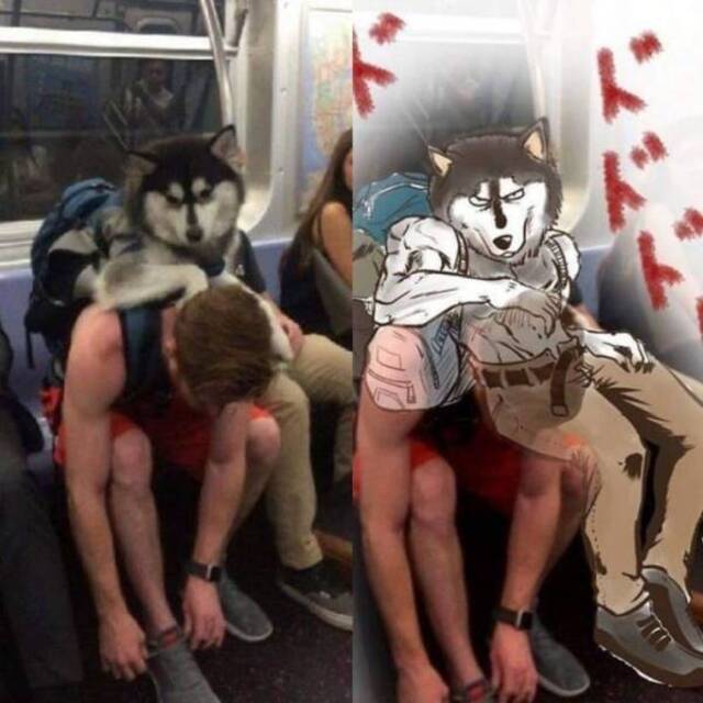 Bildschirmarbeiter - Picdump KW50 2021