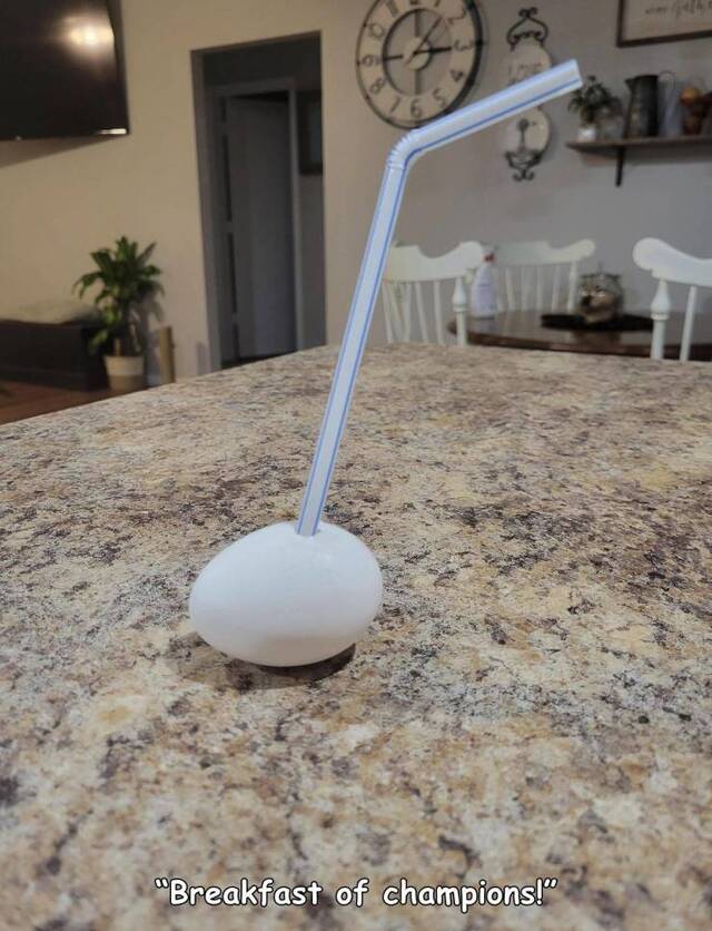 Bildschirmarbeiter - Picdump KW50 2021