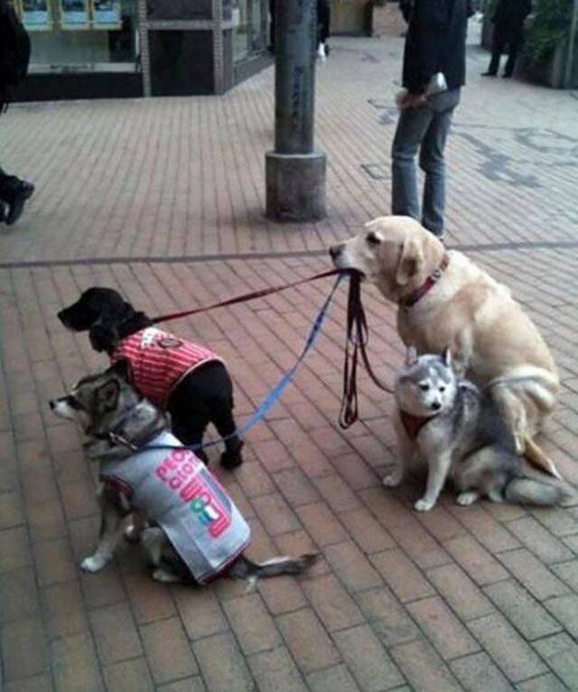 Bildschirmarbeiter - Picdump KW50 2021