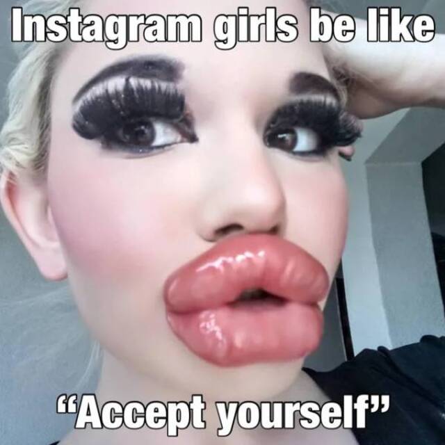 Bildschirmarbeiter - Picdump KW50 2021