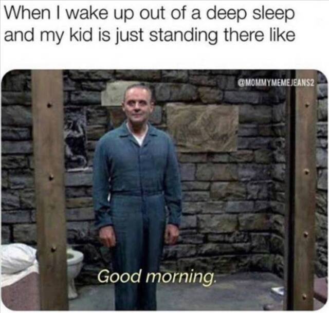 Bildschirmarbeiter - Picdump KW50 2021