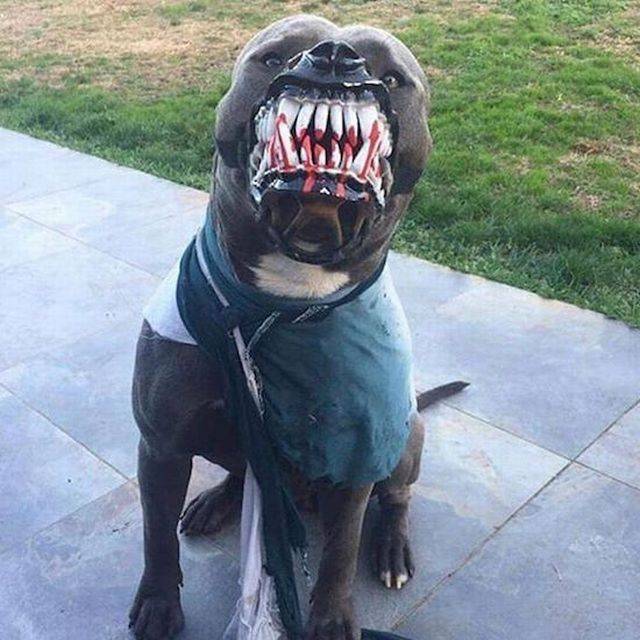 Bildschirmarbeiter - Picdump KW 50/2025