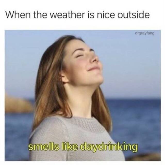 Bildschirmarbeiter - Picdump KW 50/2025