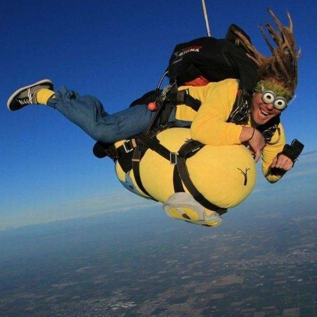 Bildschirmarbeiter - Picdump KW 50/2025