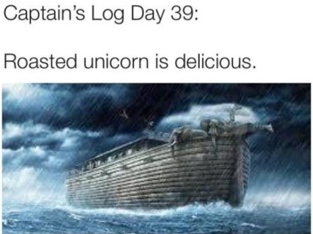 Bildschirmarbeiter - Picdump KW 50/2025