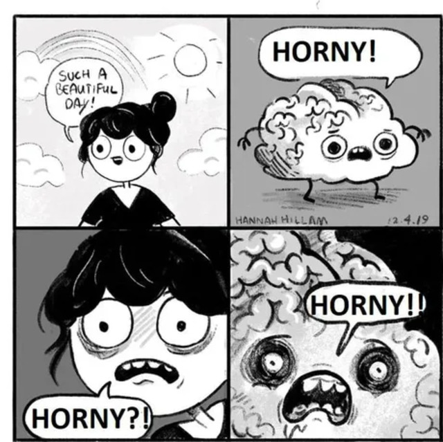 Bildschirmarbeiter - Picdump KW 50/2025