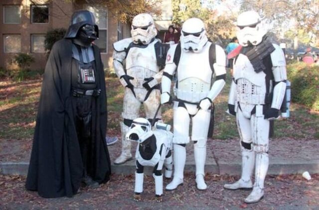 Bildschirmarbeiter - Picdump KW 50/2025