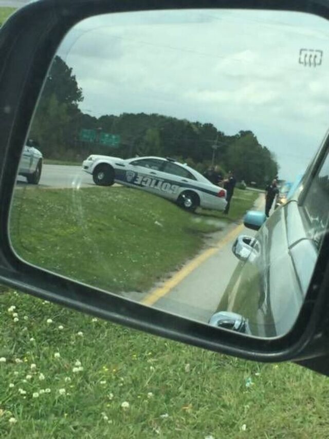 Bildschirmarbeiter - Picdump KW 50/2025