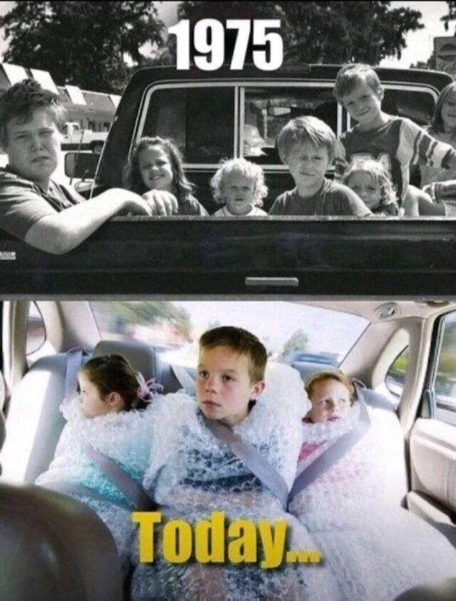 Bildschirmarbeiter - Picdump KW 50/2025